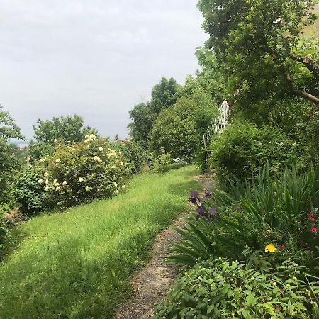 Appartement Avec Vue Panoramique Sur L'Estuaire De La Gironde Plassac  Kültér fotó