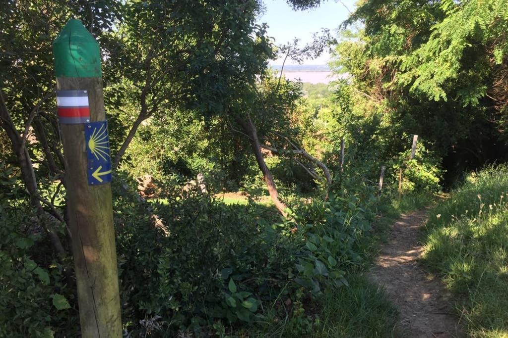 Appartement Avec Vue Panoramique Sur L'Estuaire De La Gironde Plassac  Kültér fotó