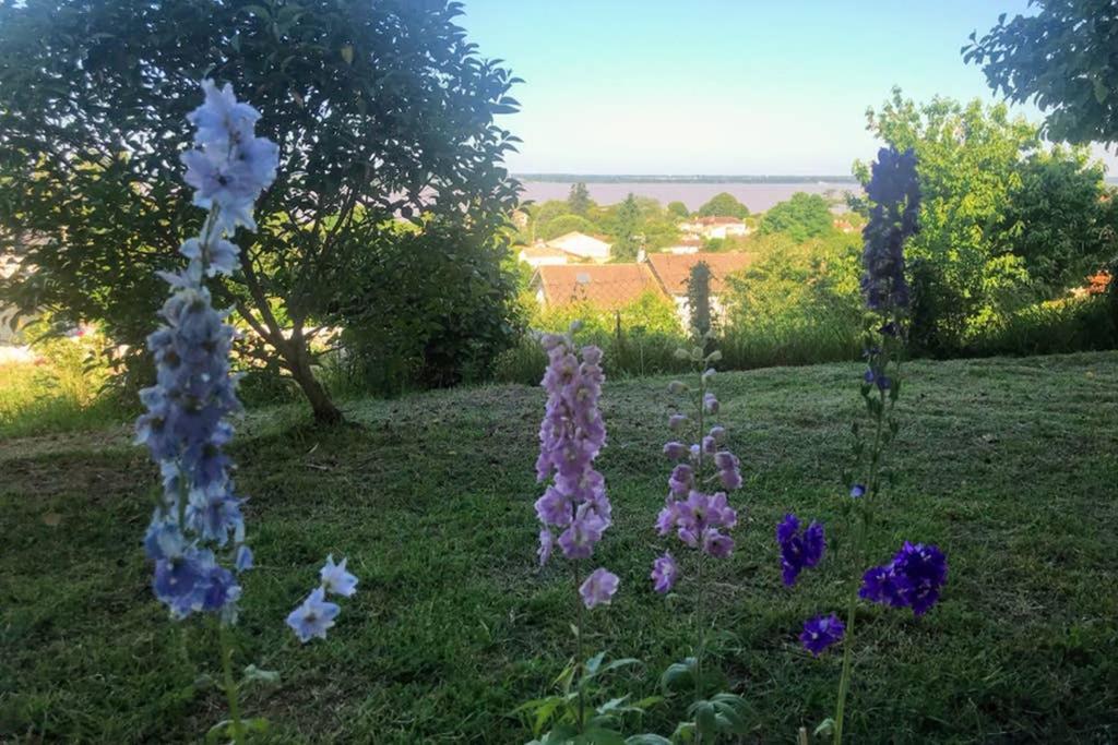 Appartement Avec Vue Panoramique Sur L'Estuaire De La Gironde Plassac  Kültér fotó