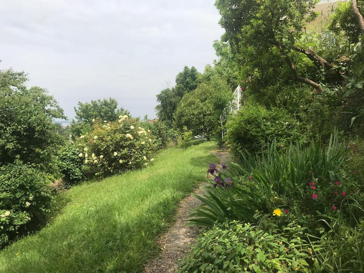 Appartement Avec Vue Panoramique Sur L'Estuaire De La Gironde Plassac  Kültér fotó