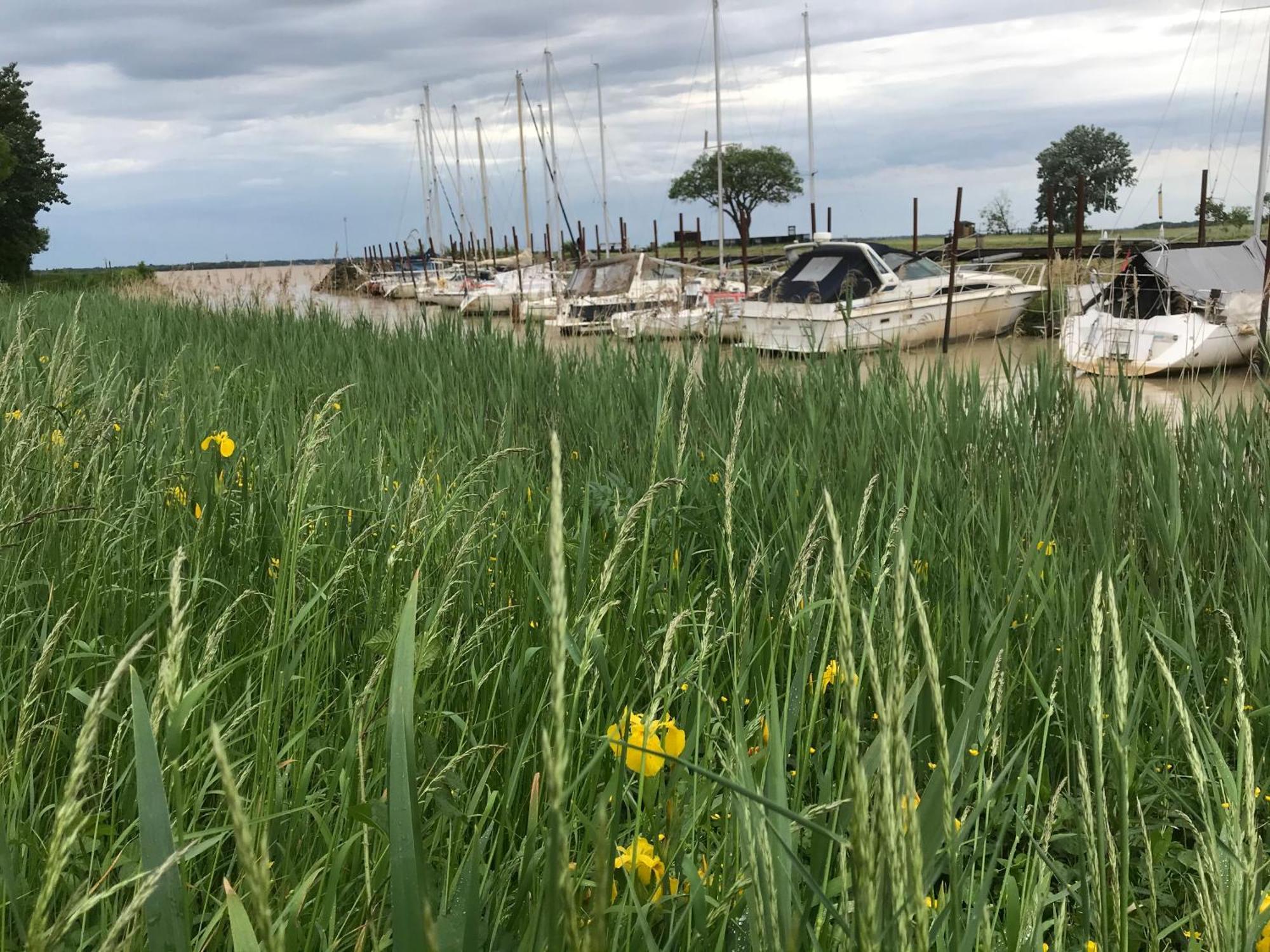 Appartement Avec Vue Panoramique Sur L'Estuaire De La Gironde Plassac  Kültér fotó